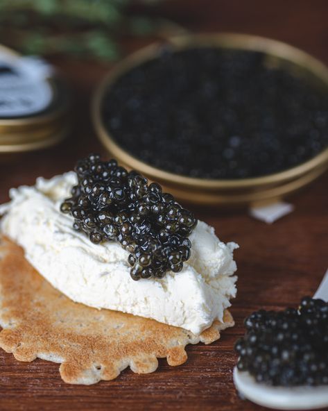 Beluga Caviar, Pull The Trigger, Holidays 2023, Now Is The Time, Top Shelf, Treat Yourself, In Time, Pre Order, Holiday Season