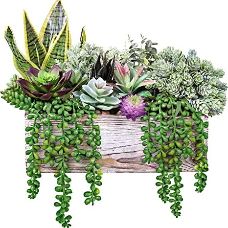 Plants Arrangement, Windowsill Shelf, Artificial Succulent Arrangements, Potted Succulents, Tropical Greenery, Ranunculus Flowers, Greenery Decor, Fake Succulents, Succulent Centerpieces