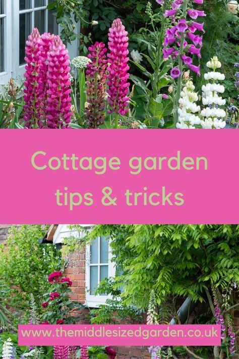 Small English Garden, Garden Tips And Tricks, Cottage Garden Borders, Cottage Garden Style, Country Cottage Garden, Cottage Garden Plants, Cottage Garden Design, Garden Design Layout, Grow Plants