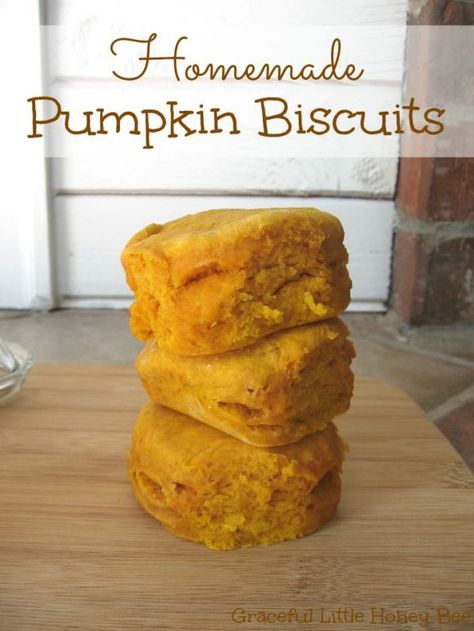 Learn to make these delicious homemade pumpkin biscuits on gracefullittlehoneybee.com Egg Casseroles, Pumpkin Biscuits, Pumpkin Food, Baking Powder Biscuits, Pumpkin People, Pumpkin Puree Recipes, Savory Breads, Facebook Recipes, Sweet Potato Bread