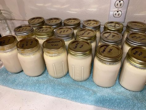 Pressure Canning Whole Milk, Pressure Canning Alfredo Sauce, Canning Milk Pressure, Canning Evaporated Milk, How To Can Milk, Canning Milk Water Bath, Canning Alfredo Sauce Recipe, Canned Milk Recipes, Canning Alfredo Sauce