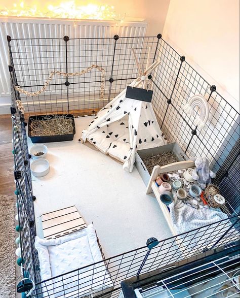 Rabbit Enclosure Indoor Ideas, Rabbit Cage Setup Indoor, Cute Bunny Enclosure, Bunny Area Ideas, Cute Bunny Set Up, Bunny Enclosure Ideas, Bunny Play Pen Ideas, Rabbit Home Ideas, Bunny Home Ideas