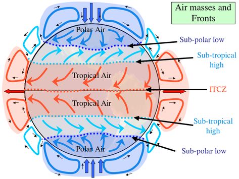 Wind Circulation with earth's rotation (Coriolis effect) Atmospheric Circulation, Sixth Grade Science, Weather Science, Geography Activities, Teaching Geography, Physical Geography, Geography Map, Geography Lessons, 6th Grade Science