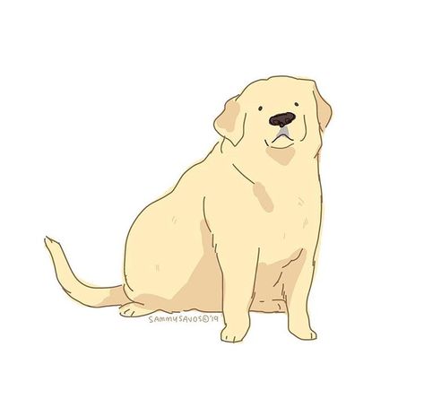 sammy savos on Instagram: “this is a fat dog i drew a while ago at work while i was trying out a new tablet :') #dog #dogs #puppy #puppies #lab #labs #yellowlab…” Yellow Things Drawing, Lab Drawing Reference, Cute Labrador Drawing, Person With Dog Reference, Hamotzi Dog, Labrador Drawing Cartoon, Yellow Lab Drawing, Drawing Labrador, Sammy Savos