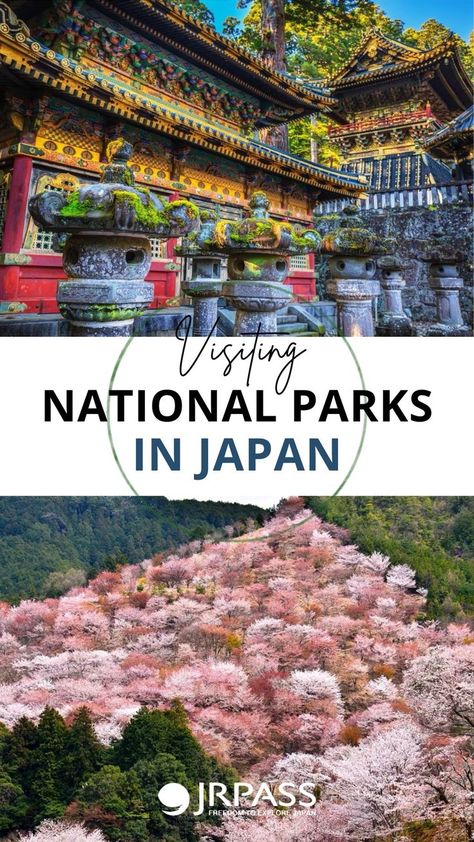 Japan’s national parks are among the most beautiful and diverse in the world. We have put together a selection of our favourite parks in this article. #NationalParks #JapanNature #Rishiri #Rebun #Hokkaido #Shiretoko #Nikko #Fuji #Hakone #Yoshino #Yakushima #Okinawa #JRPass #JapanRailPass #DiscoverJapan Parks In Japan, Visiting Japan, Yakushima, Japan Holidays, Japan Destinations, Visit Tokyo, Japan Itinerary, Japan Vacation, Kyoto Travel