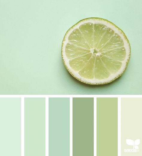 Fresh Hues Aqua Color Palette, Seeds Color, Hijau Mint, Color Schemes Colour Palettes, Deco Nature, Green Paint Colors, Pastel Colour Palette, Green Colour Palette, Design Seeds