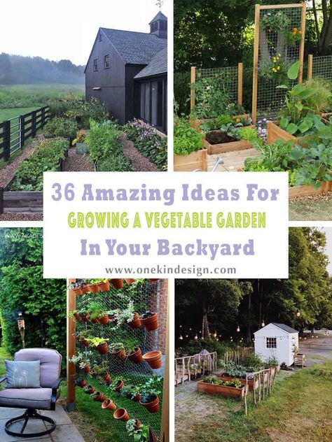 36 Amazing Ideas For Growing A Vegetable Garden In Your Backyard Garden Oasis Backyard, Small Vegetable Gardens, Potager Garden, Backyard Vegetable Gardens, Garden Design Layout, Garden Wallpaper, Veg Garden, Large Backyard, Landscape Designs