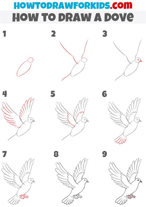 Drawing Doves Bird, How To Draw Dove, Dove Painting Easy, How To Draw A Dove Step By Step, Easy Dove Drawing, Cute Dove Drawing, White Dove Drawing, How To Draw A Dove, Drawings Of Doves