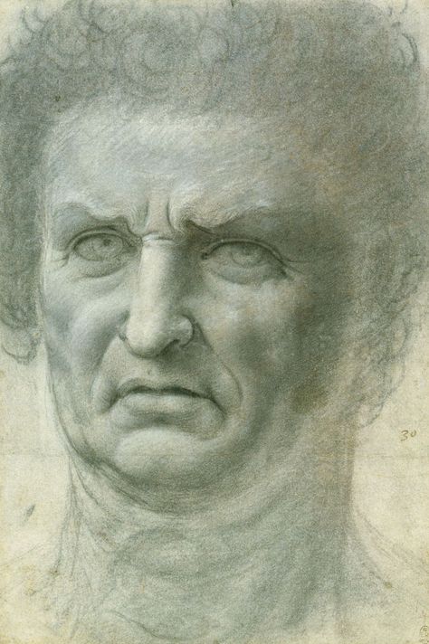 12501 Follower of L: The head of a man | Royal Collection Trust Furrowed Brow, Trois Crayons, Grey Paper, Royal Collection Trust, Drawing Heads, Rennaissance Art, Master Drawing, Clean Shaven, The Royal Collection