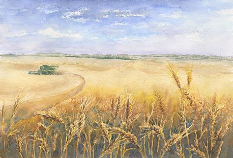 Wheat Field Painting Watercolors, Harvest Watercolor, Silo Art, Mediterranean Paintings, American Countryside, Autumn Abstract, Wheat Harvest, Ukraine Art, Farm Images