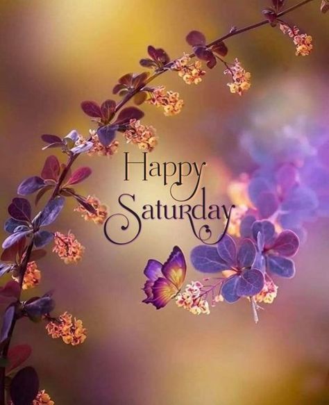 Saturday Wallpaper, Saturday Morning Greetings, Happy Saturday Pictures, Good Morning Saturday Images, Happy Saturday Quotes, Saturday Pictures, Happy Saturday Images, Happy Saturday Morning, Saturday Greetings