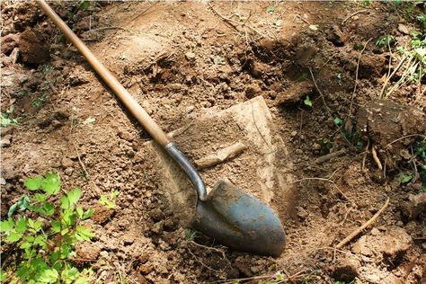 YOU ARE THE TREASURE! (The Parable of the Treasure in the Field) Cocos Island, Dug Up, Buried Treasure, Metal Detector, Hidden Treasures, Backyard Design, Shovel, God Is Good, New Mexico