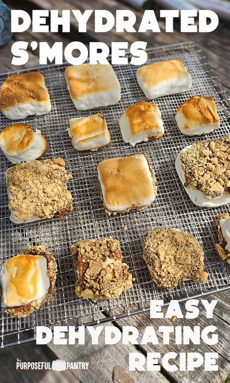 Dehydrated Roasted Marshmallow S'mores - The Purposeful Pantry Dehydrated Dessert Recipes, Dehydrated Marshmallows In Oven, Dehydrated Candy Recipes, How To Freeze Dry Marshmallows, Dehydrator Candy, Dehydrated Camping Meals, Dehydrated Desserts, Dehydrated Gifts, Dehydrator Meals