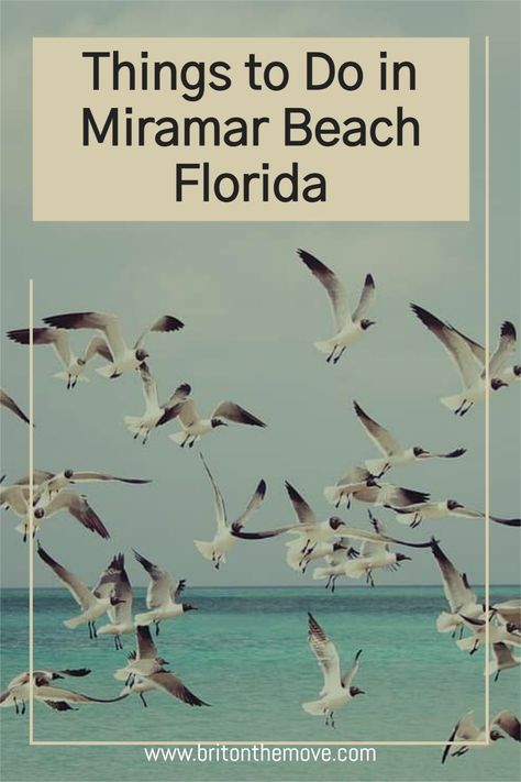 Are you looking to explore Florida’s Gulf Coast on your next getaway? Look no further than Miramar Beach, a gem tucked away between the bustling cities of Destin and Santa Rosa Beach along Florida’s Emerald Coast. Renowned for its stunning beaches, top-tier golf courses, and vibrant local culture, Miramar Beach has quickly emerged as a must-visit destination. #MiramarBeach #MiramarBeachFL #MiramarBeachFlorida Natural Springs In Florida, Sandestin Florida, Miramar Florida, Miramar Beach Florida, Travel Florida, Florida Adventures, Florida Water, Florida Springs, Florida Restaurants