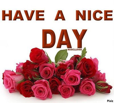 have a nice day Good Day Images, Good Morning Sunday Images, Photos Of Good Night, Good Morning Wishes Gif, Quotes Dream, Good Night Flowers, Good Night Love Images, Good Morning Roses, Good Morning Flowers Pictures