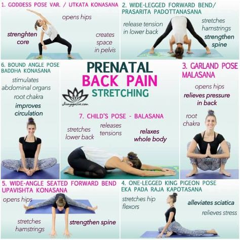 Best Pregnancy Yoga Poses for Back Pain (prenatal yoga routine included) Best Pregnancy Workouts, Prenatal Yoga Poses, Pregnancy Yoga Poses, Pregnancy Stretches, Pregnancy Back Pain, Pregnancy Workout Videos, Pregnancy Safe Workouts, Yoga Poses For Back, Prenatal Workout