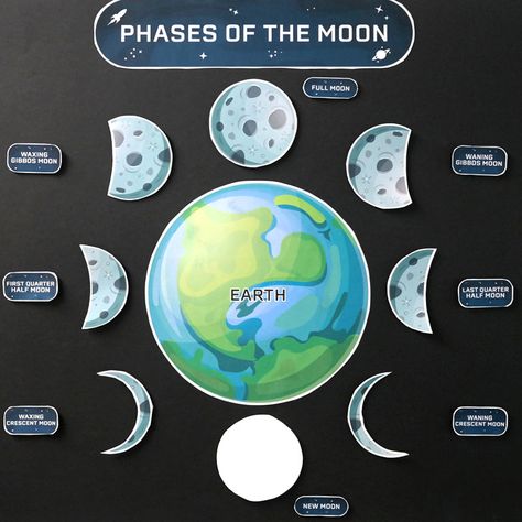 Phases Of Moon Printable, Phases Of The Moon Worksheet, Moon Worksheet, Moon Lessons, Planet Crafts, Elementary School Science, Solar System Poster, Moon Projects, The Phases Of The Moon