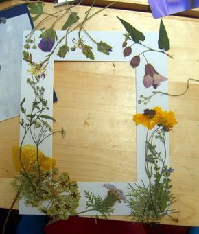 Dried flower frame border insert Fried Flowers, Framing Flowers, Flower Pressing, Pressed Flower Crafts, Fleurs Diy, Flower Picture, Matting Pictures, Dried And Pressed Flowers, Pokemon Eevee