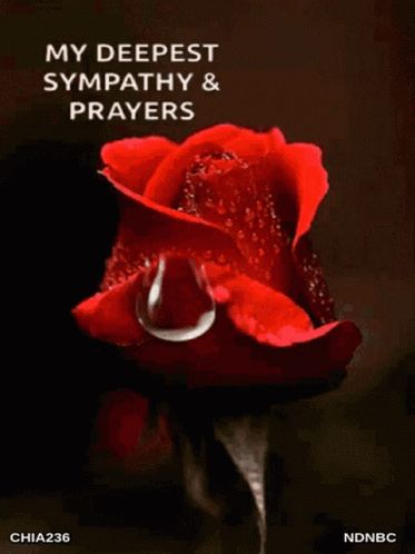 Deepest Sympathy Rip GIF - DeepestSympathy Rip SorryForYourLoss - Discover & Share GIFs Sympathy Prayers, African American Birthday Cards, Emoji Craft, Condolence Flowers, Candle Gif, Condolences Quotes, Sorry Images, Sympathy Card Messages, Sending Prayers