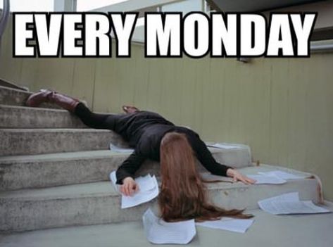 Picture Funny Monday Memes, I Hate Mondays, Monday Memes, Monday Humor, 9gag Funny, Monday Quotes, Work Memes, Memes Humor, Komik Internet Fenomenleri