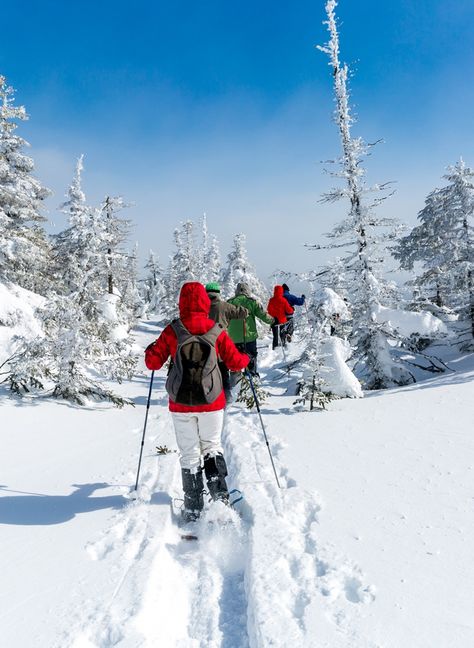 Snowshoeing - Snowshoe Trails Alta, Utah | Snowpine Lodge Alta Utah, Snow Shoeing, Alta Ski, Colorado Winter, Snowshoes, Ski Area, Winter Adventure, Snow Shoes, Rocky Mountains