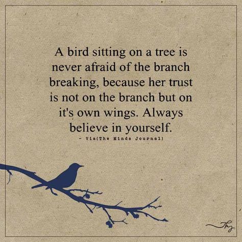 A Bird Sitting On A Tree Is Never Afraid Of The Branch Breaking Always Believe In Yourself, Believe In Yourself Quotes, Bird Sitting, Believe Quotes, Confidence Quotes, Always Believe, Yoga Quotes, Believe In Yourself, What Makes You Happy