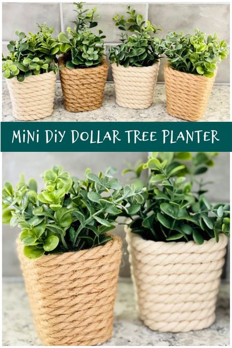 Small Planters Diy, Diy Small Pots For Plants, Dollar Store Planter Ideas, Small Pots For Plants, Succulent Pots Diy, Funky Crafts, Diy Cedar Planter Box, Diy Succulent Planter, Faux Outdoor Plants