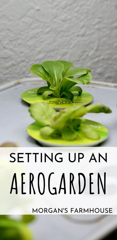 Aerogarden Diy, Aero Garden, Indoor Hydroponic Gardening, Start Gardening, Homegrown Food, Salad Greens, Starting A Garden, Square Foot Gardening, Hydroponic Gardening