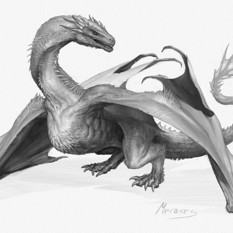 Viserys I Targaryen, Dragon Poses, Got Dragons, Wings Of Fire Dragons, Dragon Artwork Fantasy, Targaryen Art, Dragon Sketch, Dragon Pictures, Desenho Tattoo