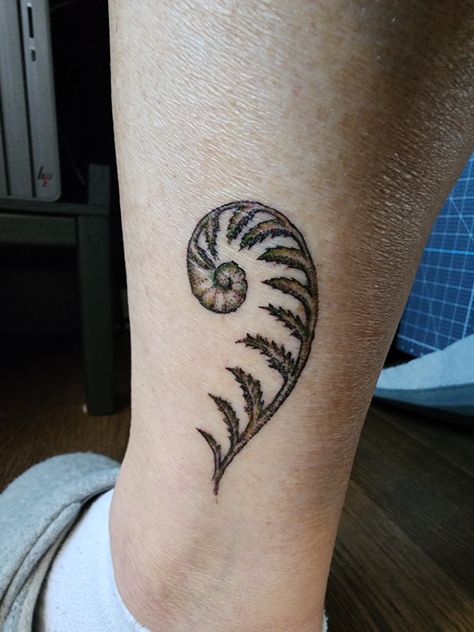 Fern Band Tattoo, Fern Heart Tattoo, Fiddle Fern Tattoo, Fern Fiddlehead Tattoo, Fern Spiral Tattoo, Curly Fern Tattoo, Curled Fern Tattoo, Fern Frond Tattoo, American Traditional Fern Tattoo