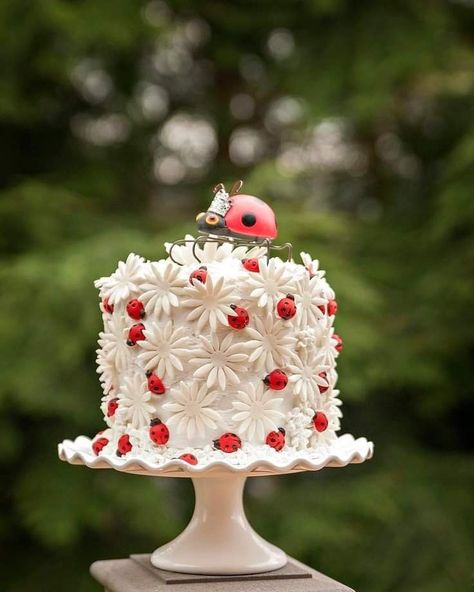 Lady Bird Birthday Cake, Ladybug And Daisy Birthday, Ladybug Themed Cake, Ladybug 1st Birthday Cake, Pink Ladybug Cake, Ladybug First Birthday Cake, Birthday Cake Ladybug, Bug Cake For Girls, Lady Bird Cake