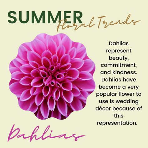 Five little known facts about the gorgeous Dahlia: 1. There are thousands of types of dahlias. 2. Dahlias were originally classified as a vegetable. 3. People use dahlias at weddings for their symbolism. 4. Dahlias originated in Central America. 5. There are no blue dahlias. Types Of Dahlias, Nyc Flower Market, Flower Healing, Healing Flowers, Flower Magic, Blue Dahlia, Floral Trends, Popular Flowers, Plastic Planters