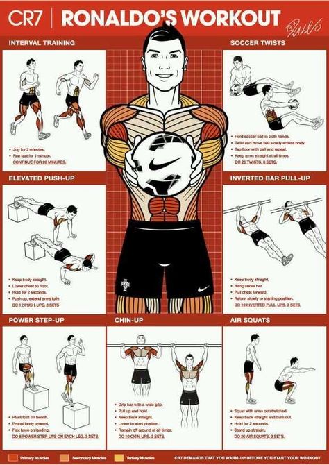 cristiano ronaldo workout, so doing this! Ronaldo Workout, Cristiano Ronaldo Workout, Soccer Training Drills, Entrainement Football, Football Workouts, Muscle Abdominal, Latihan Kardio, Football Drills, Soccer Workouts