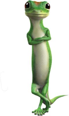 Gecko, Car Insurance, Insurance, Green