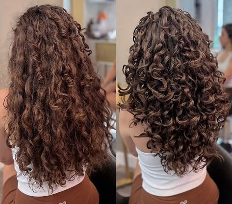 Before & After hair cut 😍😍 @laurenpiluso | Instagram Curly Cut, Curly Hair Cuts, July 25, Hair Cut, Hair Goals, Curly Hair, Curly Hair Styles, Hair Cuts, Hair