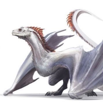 White Wyvern, Dragon Concept Art, Wyvern Dragon, Dragon Concept, Mythical Monsters, Got Dragons, Targaryen Art, Dragon Artwork Fantasy, Dnd Dragons