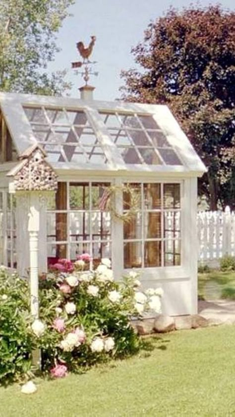 This is the most adorable greenhouse and she shed I have every seen! This is the perfect cottage garden with the white picket fence in the background. Pretty Sheds, English Pool, Greenhouse Shed Combo, Small Greenhouse Ideas, Salvaged Windows, Window Greenhouse, Victorian Greenhouses, Diy Greenhouse Plans, Rose Garden Design