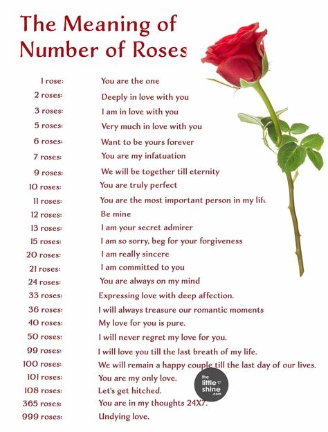 Rose Flower Colors, Rose Color Meanings, Rose Meaning, 12 Roses, Secret Admirer, Flower Meanings, Number Meanings, Color Meanings, Night Scenery