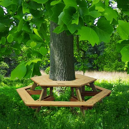 Boom Bank, Bench Around Trees, Tree Swings, Tree Seat, Tree Bench, Jardim Diy, Tree Table, Table Bench, Natural Playground