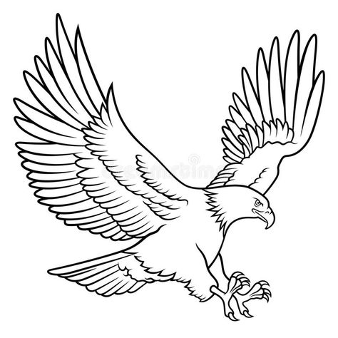 Eagle Drawing Easy, Eagle Outline, Eagle Sketch, Fly Drawing, Eagle Silhouette, Eagle Vector, Eagle Drawing, Eagle Tattoos, Eagle Tattoo