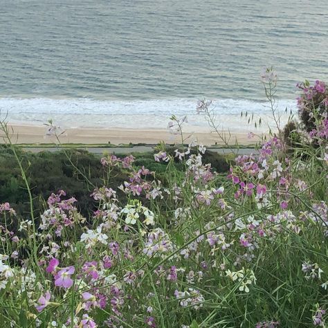 Michaela Watson, Spring Vibes, Purple Aesthetic, Tom Cruise, Nature Aesthetic, Pretty Places, Green Aesthetic, Mother Earth, Fresh Air