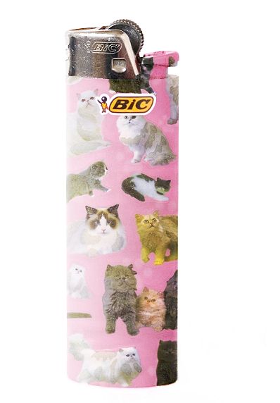 a bic cat lighter. omg i want a whole case of them Sadie Core, Pink Lighter, Thrift List, Bic Lighter, Cool Lighters, Cat Light, Light My Fire, Puff And Pass, Oui Oui