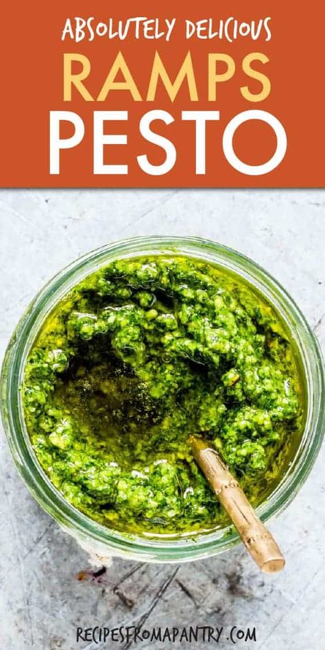 Looking for an awesome Ramps Pesto Recipe? Well, this wild garlic pesto needs only 6 ingredients and your food processor! Freezer friendly, budget savvy, super quick this homemade Ramsons Pesto is just what you need. #wildgarlicpesto #wildgarlicpestorecipe #pesto #pestorecipe #rampspesto #ransomespesto #wildgarlic #wildgarlicrecipes Garlic Pesto Recipe, Grilled Vegetable Sandwich, Ramp Pesto, Easy Easter Dinner, Gluten Free Pesto, Wild Garlic Pesto, Dash Recipe, Garlic Pesto, Wild Garlic