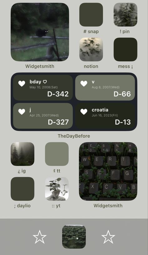 Ios Green Theme, Dark Green Homescreen Layout, Black And Green Homescreen, Dark Green Phone Theme, Dark Green Home Screen, Ios 16 Home Screen Ideas Green, Green Home Screen Layout, Homescreen Decor Ideas, Stars Homescreen