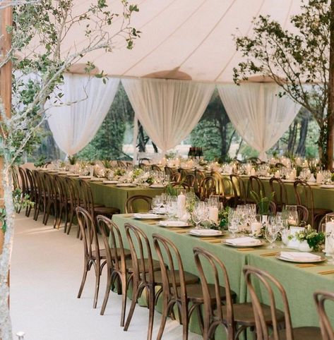 Kathleen Deery on Instagram: “Sometimes the simplest of designs is the most elegant. I loved the green, brown and touch of white theme. @jennyboomshakalaka…” Brown And Green Wedding, Beaulieu Garden, Wedding Planning Details, Wedding Theme Inspiration, Green Themed Wedding, Tent Reception, Brown And Green, Martha Stewart Weddings, J P