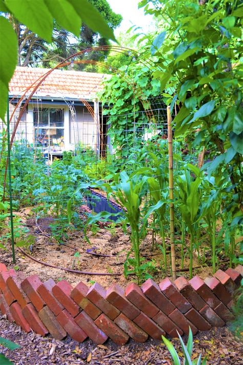 Raised bed layout