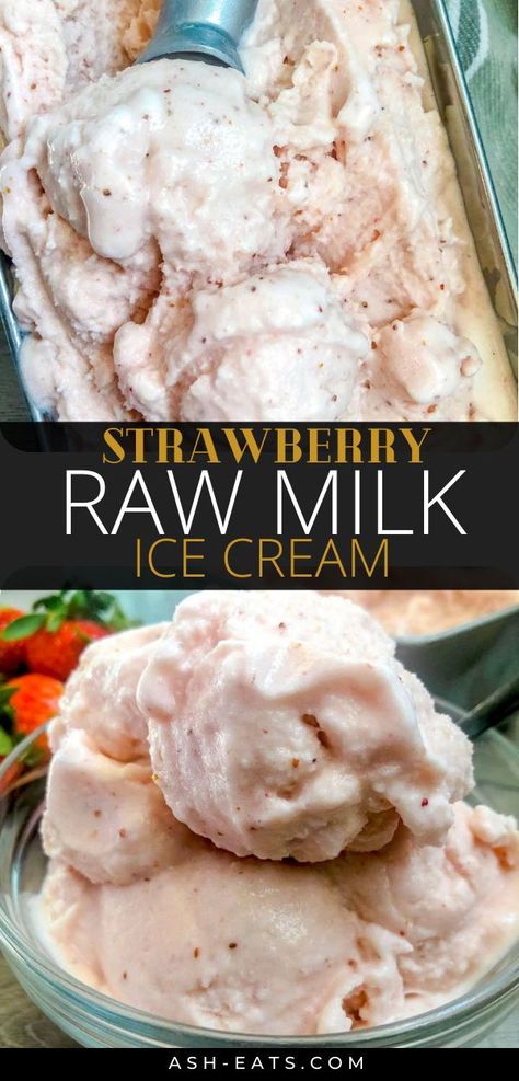 No Cream Ice Cream Recipe, Raw Ice Cream Recipe, Whole Milk Ice Cream Recipe, Vitamix Ice Cream, Raw Ice Cream, Raw Dairy, Overnight Oats Recipe Easy, Weston Price, Sugar Free Ice Cream