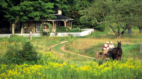 Road to Avonlea Best Period Dramas, Road To Avonlea, Anne Of Avonlea, Masterpiece Theater, Anne Shirley, Costume Drama, Historical Novels, Anne Of Green, Prince Edward Island