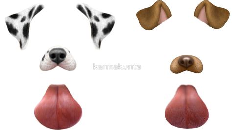 snapchat dog filters   by karmakunta Dog Filter Snapchat, Iphone Filters Photo Editing, Snapchat Dog Filter, Iphone Filters, Filter Snapchat, Snap Filters, Dog Filter, Dog Mask, Snapchat Filter