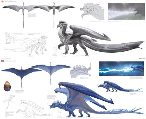 Fantasy Dragon Concept Art, Dragon Ref Sheet, Dragon Design Concept, Blue Dragon Art, Dragon Concept Art, Dragon Ideas, Mythical Creatures Fantasy, Dnd Dragons, Dreamworks Dragons